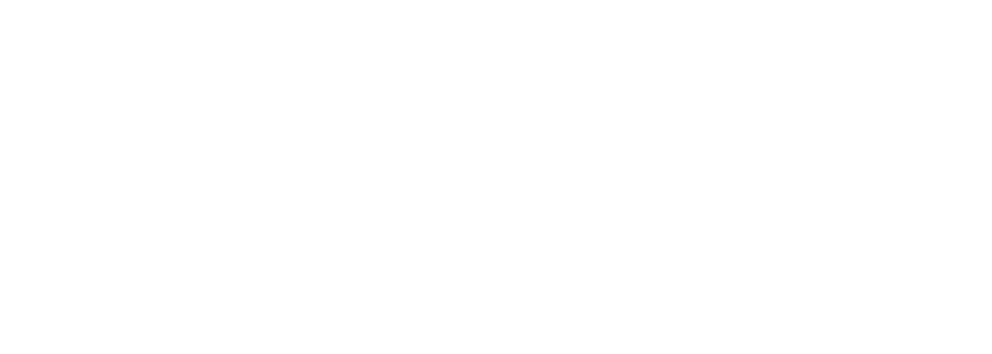 Lady Arena logo